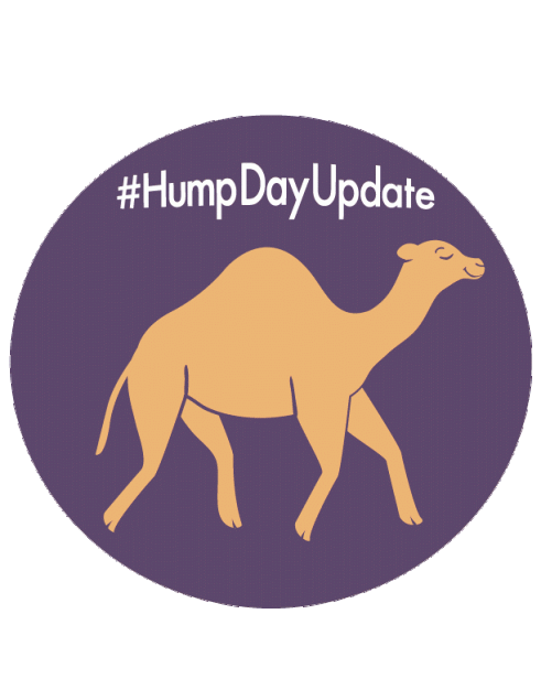 hump day update
